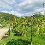 Zielone Zacisze 招待所 Krościenko